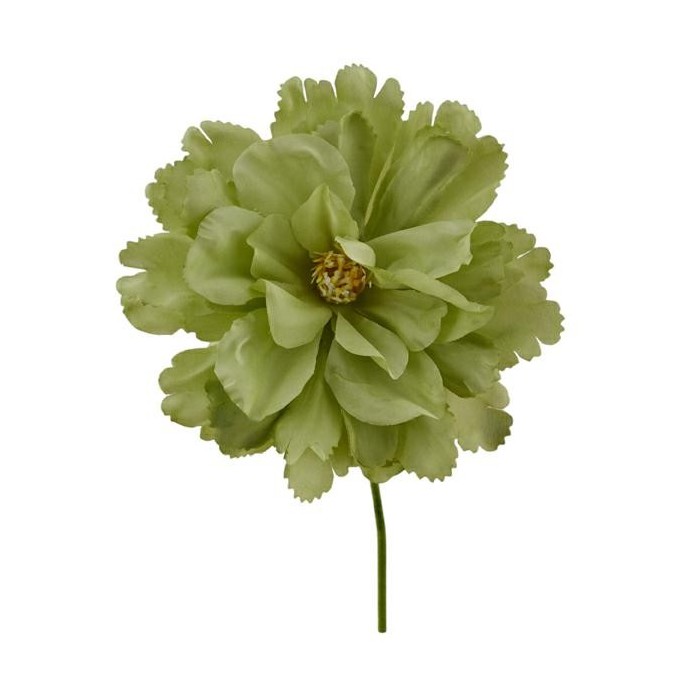 PEONIA VERDE D.14 L.15
